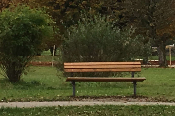 Contact - © Create Lasting Change